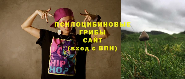 ALPHA PVP Козельск