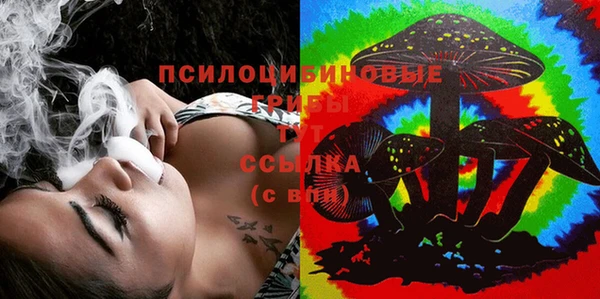 ALPHA PVP Козельск